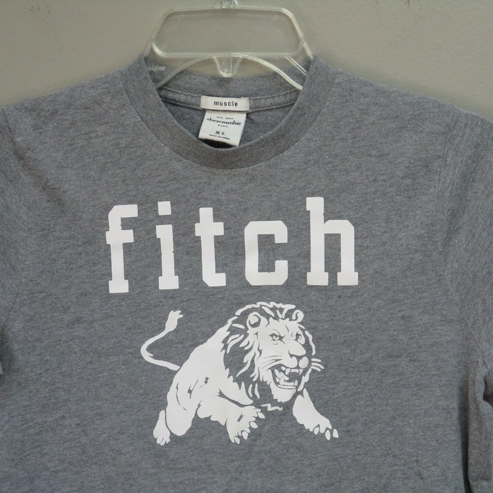 Abercrombie Kids Boys Graphic T Shirt XL Gray.